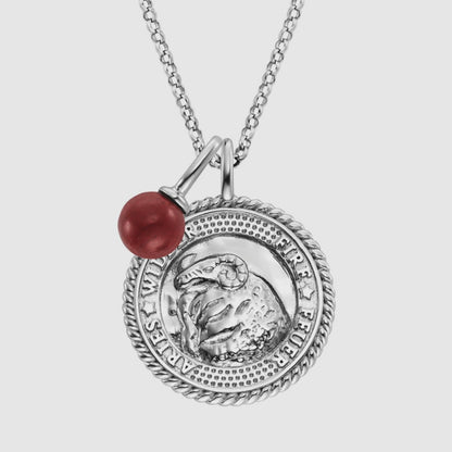 Halskette 925er Silber Skorpion mit Kraftstein Roter Jaspis und Zirkonia
